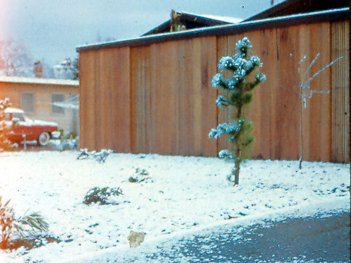 Box22 025 716 snow 1-21-62 